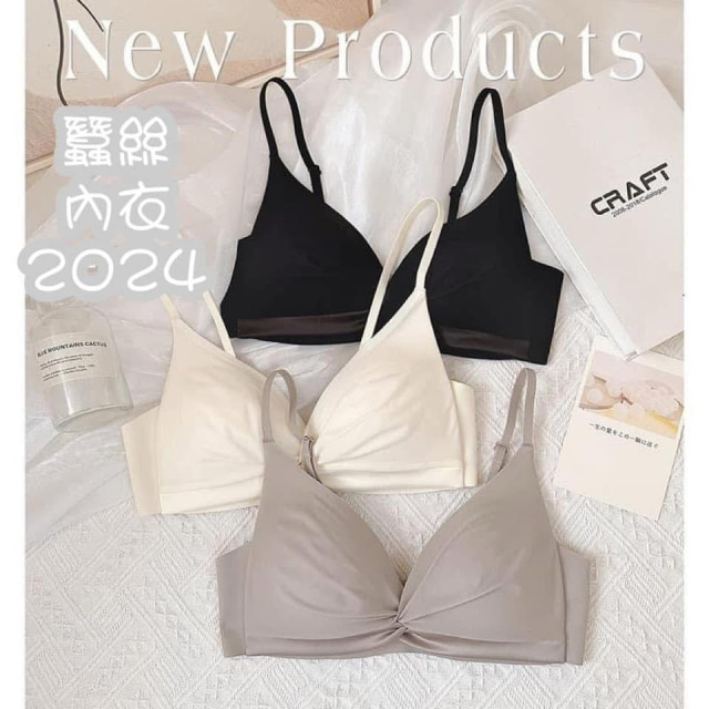 E008-100%桑蠶絲集中無痕無鋼圈不空杯三角杯內衣 $448